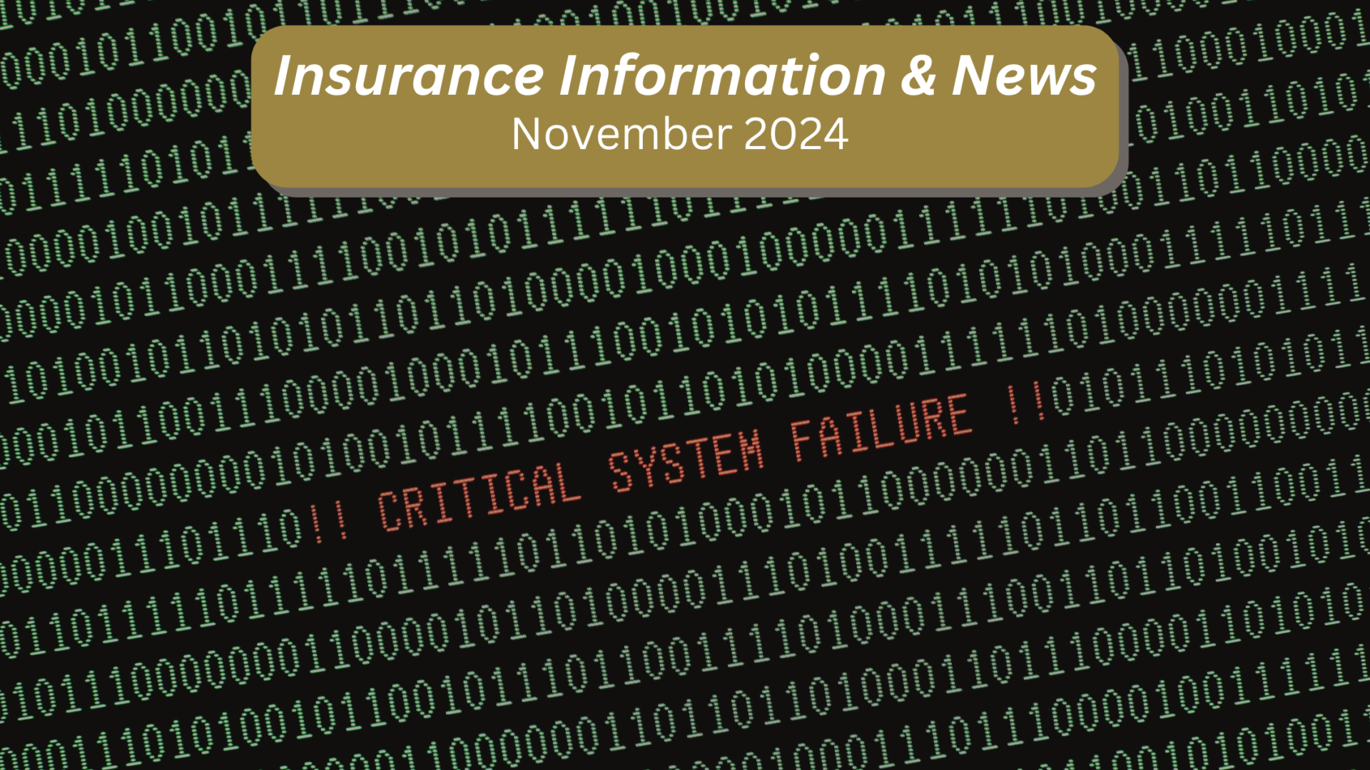 November 2024 Insurance Information